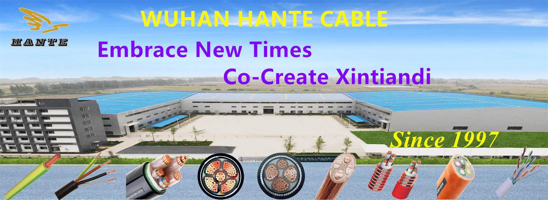 Insulated Electric Cables